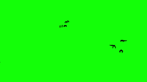 Halloween-bats-flying-loop-animation-Halloween-concept-element-with-alpha-channel